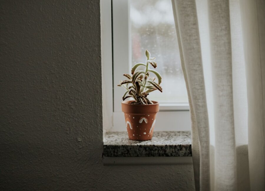 Blumentopf auf Granitfensterbank